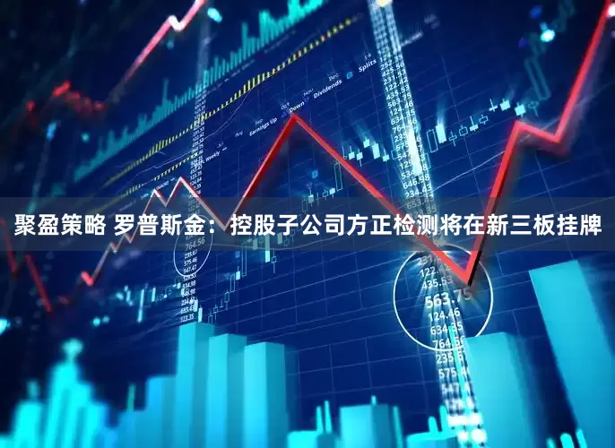 聚盈策略 罗普斯金：控股子公司方正检测将在新三板挂牌