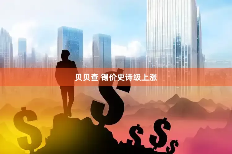 贝贝查 锡价史诗级上涨