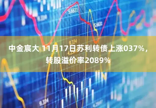 中金宸大 11月17日苏利转债上涨037%，转股溢价率2089%